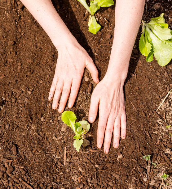 Agroalsa es proveedor de fertilizantes