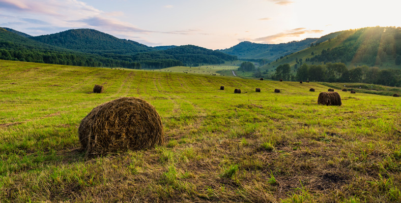 Gama de Productos tiop Fertilizantes Nitrogenados