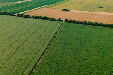 La solución nitrogenada 32% en la agricultura